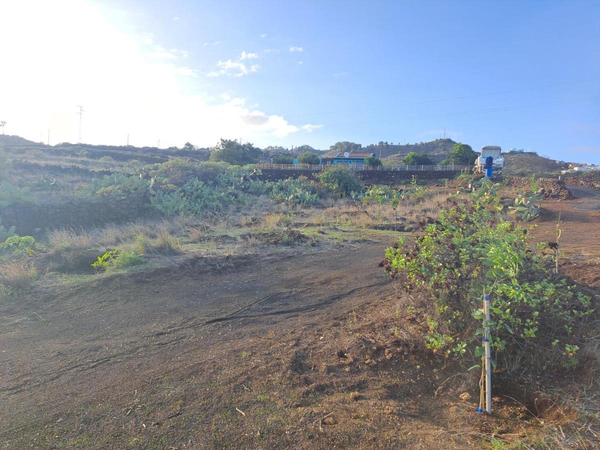 Las Casitas De Pao El Pinar  ภายนอก รูปภาพ