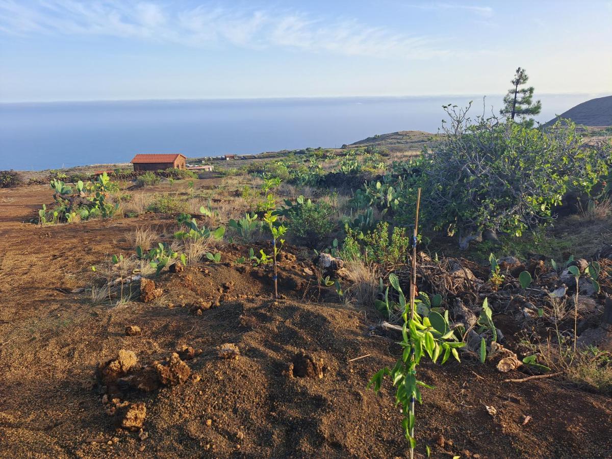 Las Casitas De Pao El Pinar  ภายนอก รูปภาพ