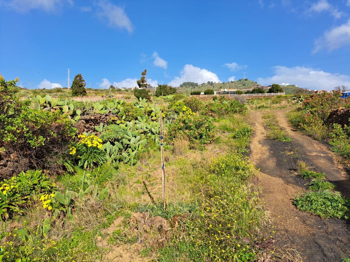 Las Casitas De Pao El Pinar  ภายนอก รูปภาพ