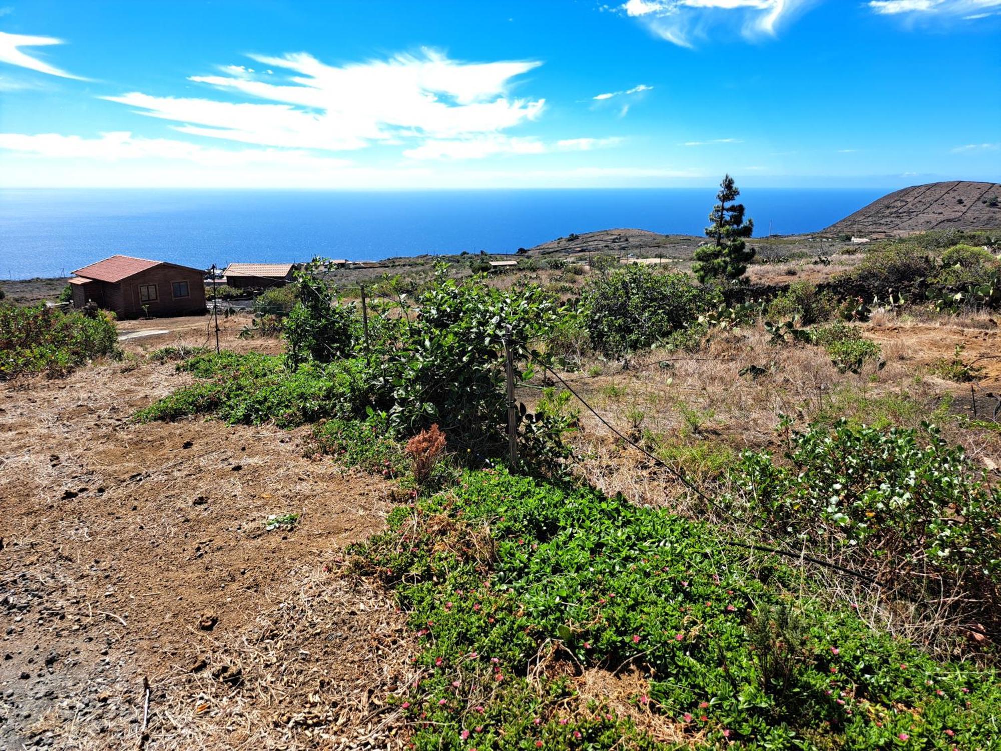 Las Casitas De Pao El Pinar  ห้อง รูปภาพ